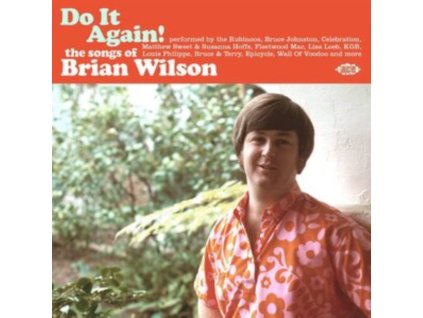 VARIOUS ARTISTS - Do It Again! The Songs Of Brian Wilson (CD)