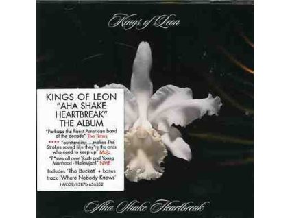 Kings Of Leon - Aha Shake Heartbreak (CD)