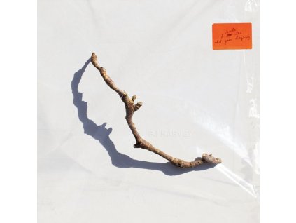 PJ HARVEY - I INSIDE THE OLD YEAR DYING (CD)