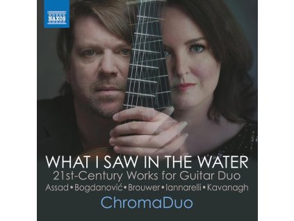 ChromaDuo - What I Saw In The Water (CD)