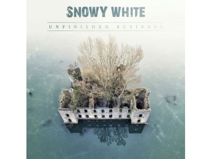 WHITE, SNOWY - UNFINISHED BUSINESS (CD)