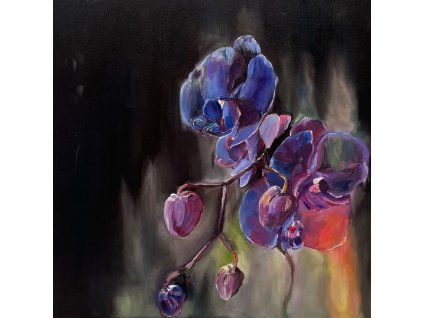 3170885 why bonnie wish on the bone cd