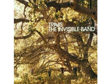 3172523 travis the invisible band cd