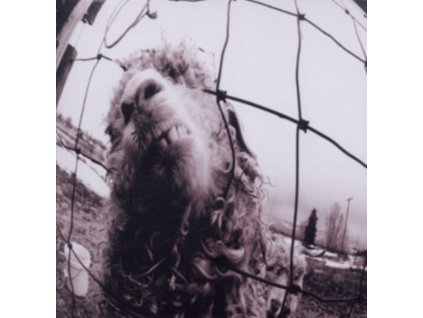 Pearl Jam - Vs. (Remastered & Expanded) (Music CD)