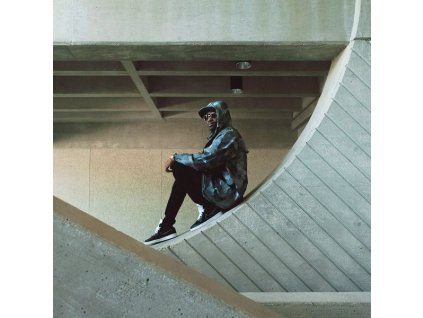 Busy Signal - Parts Of The Puzzle (CD)