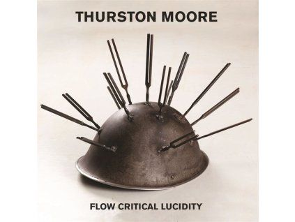 3310517 thurston moore flow critical lucidity cd