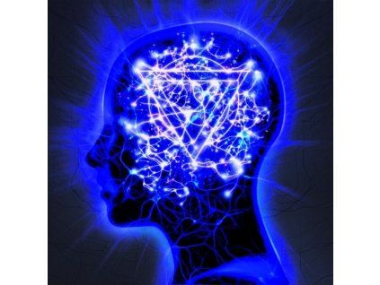 3343346 enter shikari the mindsweep limited edition 2 cd
