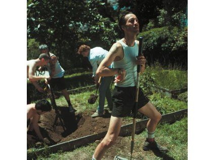 3373043 marlon williams my boy cd