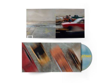 3383864 maribou state hallucinating love cd