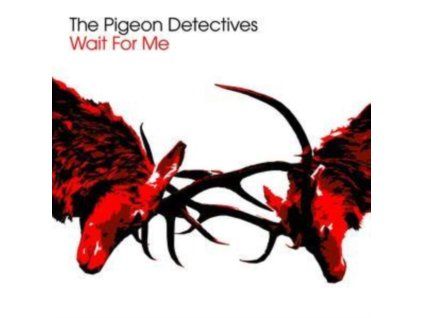 3391736 pigeon detectives wait for me cd