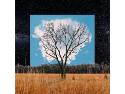 Fink - Bloom Innocent (Book Edition) CD