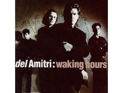 3393215 del amitri waking hours cd
