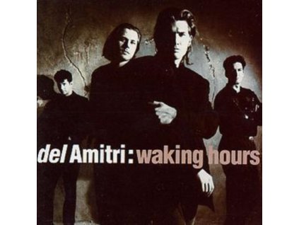 Del Amitri - Waking Hours CD