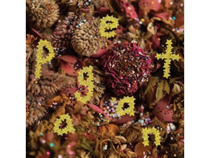 PWR BTTM - Pageant CD