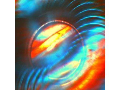 3393956 solar bears advancement cd