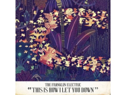 The Franklin Electric - This Is How I Let You Down CD