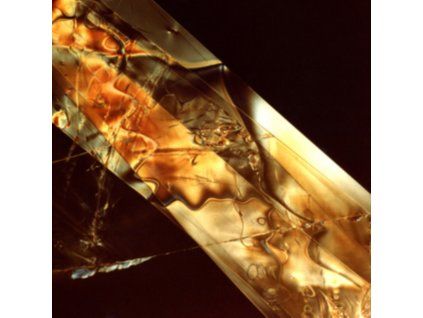 3394505 clock opera venn cd