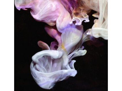 Simian Mobile Disco - Murmurations CD