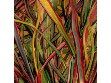 3397100 gengahr where the wildness grows cd