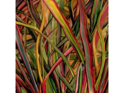 Gengahr - Where The Wildness Grows CD