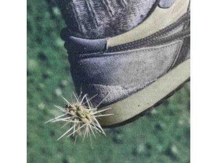 3398357 ross from friends tread cd