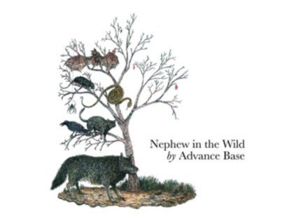 3398444 advance base nephew in the wild cd