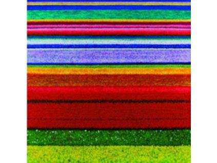 3400538 city and colour little hell cd