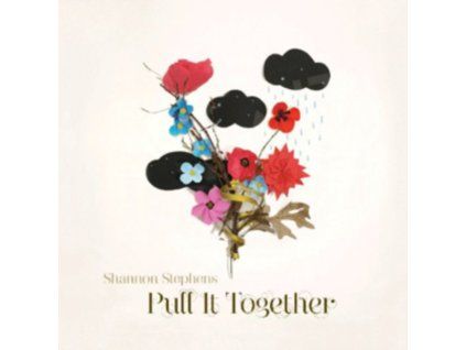 3400649 shannon stephens put it together cd