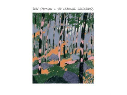 3400766 will stratton the changing wilderness cd