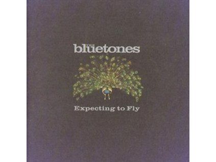 3401651 bluetones expecting to fly cd