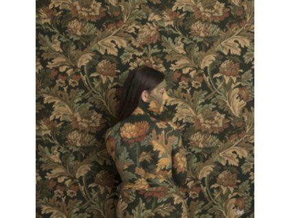 3401990 honeyblood in plain sight cd