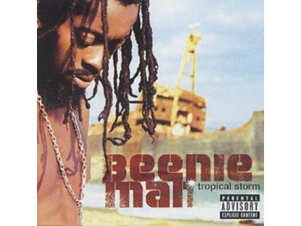 3403223 beenie man tropical storm cd
