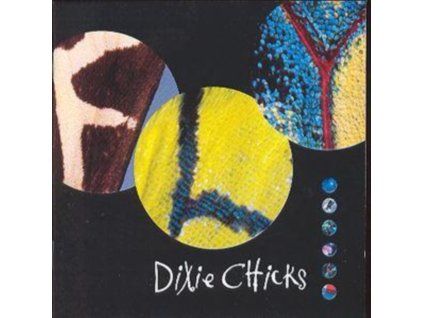3405137 dixie chicks fly cd