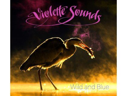 3479231 violette sounds wild and blue cd