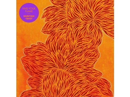 Nubiyan Twist - Find Your Flame (CD)