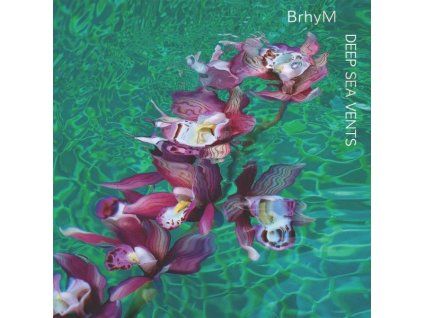 3507332 brhym deep sea vents cd