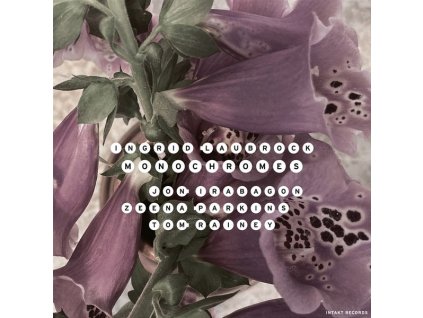 Ingrid Laubrock - Monochromes (CD)