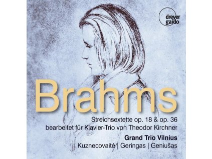 Johannes Brahms (1833-1897) - Streichsextette Nr.1 & 2 (bearbeitet für Klaviertrio von Theodor Kirchner) (CD)