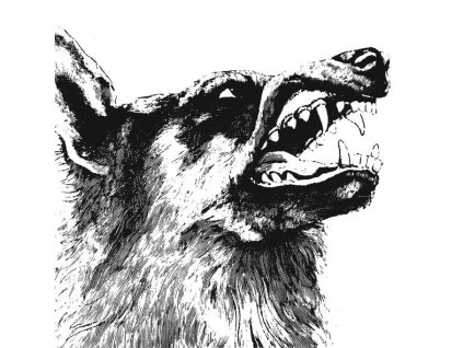 Crippled Black Phoenix - I, Vigilante (CD)