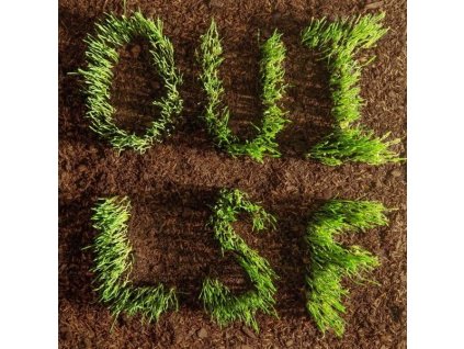 Les Savy Fav - Oui, LSF (CD)