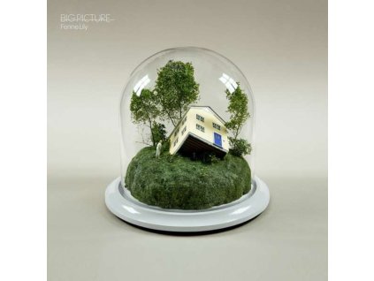 Fenne Lily - Big Picture (CD)