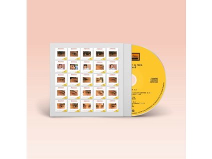 John Cale - The Academy In Peril (CD)