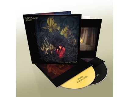 3552128 julia holter aviary cd