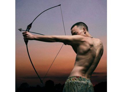 3555212 olly alexander polari cd