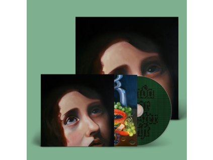 Panda Bear - Sinister Grift (CD)