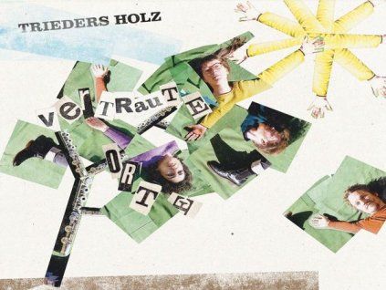3563336 trieders holz vertraute orte cd