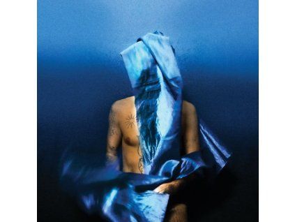 3575186 devendra banhart flying wig cd