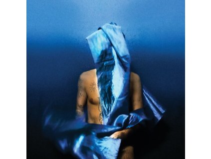 Devendra Banhart - Flying Wig (CD)