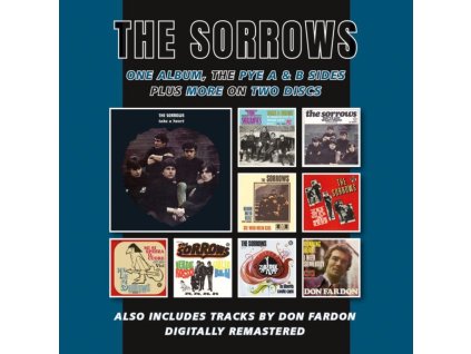 The Sorrows (England) - Take A Heart Plus The Pye A & B Sides & More (CD)
