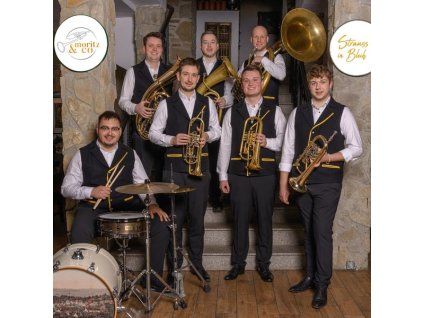 Moritz & Co - Strauss in Blech (Deluxe-Ausgabe in Blechdose) (CD)